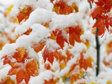 هواشناسی ایران۱۴۰۴/۹/۱۶؛برف و باران در ۲۳ استان/هشدار نارنجی برای ۱۷ استان