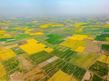 بازپس‌گیری ۶۳۱ هکتار منابع طبیعی شمال/ ۲۳ هزار هکتار از سواحل و تالاب‌ها سنددار شد