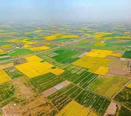 بازپس‌گیری ۶۳۱ هکتار منابع طبیعی شمال/ ۲۳ هزار هکتار از سواحل و تالاب‌ها سنددار شد