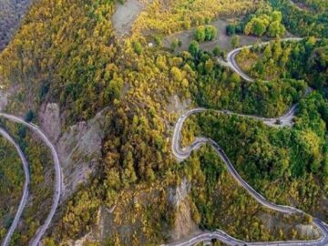 هیاهوی آفرودسواران و شلیک شکارچیان بر قلب جنگل‌ هیرکانی/ تورهای گردشگری هم قوزبالاقوز شد!