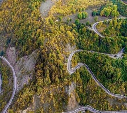 هیاهوی آفرودسواران و شلیک شکارچیان بر قلب جنگل‌ هیرکانی