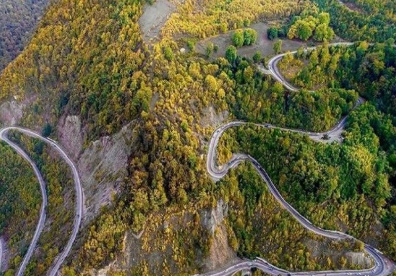 هیاهوی آفرودسواران و شلیک شکارچیان بر قلب جنگل‌ هیرکانی