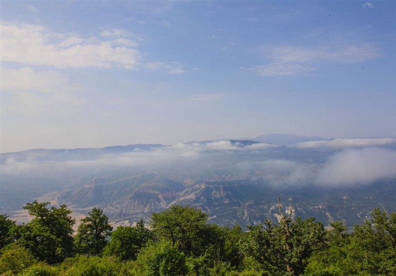 اخبار استان گلستان , نظام مسائل استان گلستان , طبیعت , جنگل های هیرکانی ,