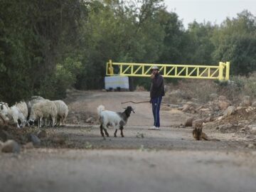 معیشت ساکنان قنیطره در گروگان اسرائیل/ خشم و فریاد سوری‌ها از انفعال جولانی