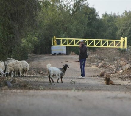 معیشت ساکنان قنیطره در گروگان اسرائیل/ خشم و فریاد سوری‌ها از انفعال جولانی