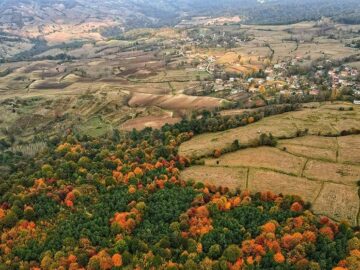 خلع‌ید ۶۳۱ هکتار منابع طبیعی شمال/ ۲۳ هزار هکتار از سواحل و تالاب‌ها سنددار شد