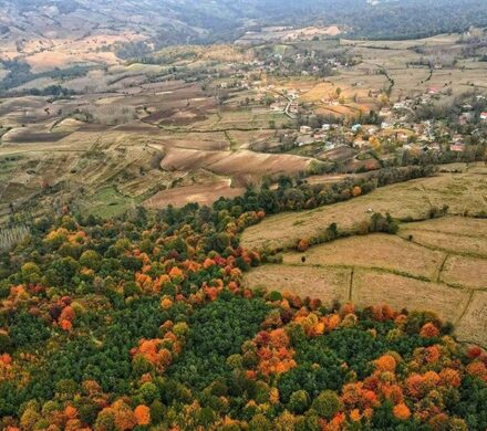 خلع‌ید ۶۳۱ هکتار منابع طبیعی شمال/ ۲۳ هزار هکتار از سواحل و تالاب‌ها سنددار شد