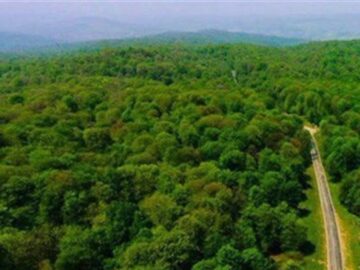 حلقههای تهدید در جنگلهای شمال/ خطر در کمین میراث هیرکانی/ حریقها ادامه دارد