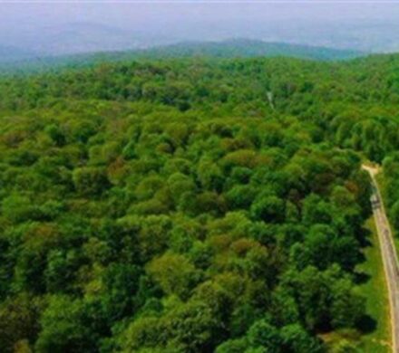 حلقههای تهدید در جنگلهای شمال/ خطر در کمین میراث هیرکانی/ حریقها ادامه دارد