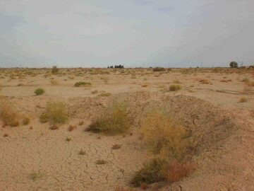 مدیر آب و خاک جهاد کشاورزی: فرسایش خاک قم از میانگین کشوری فراتر رفت