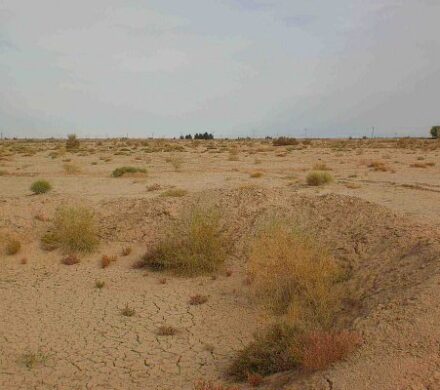 مدیر آب و خاک جهاد کشاورزی: فرسایش خاک قم از میانگین کشوری فراتر رفت