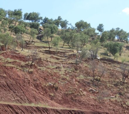 فرسایش و شوری خاک در گلستان؛ تهدیدی جدی برای امنیت غذایی