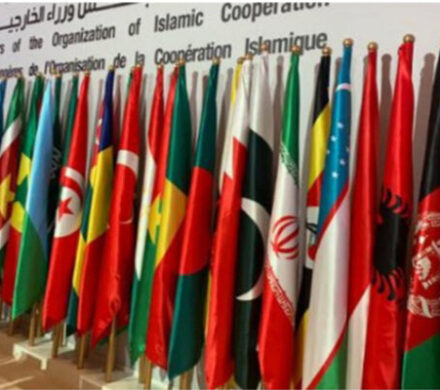 صلح و دموکراسی در آیینه حقوق بشر جهانی