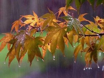 هواشناسی: سامانه بارشی جدید در راه اصفهان است