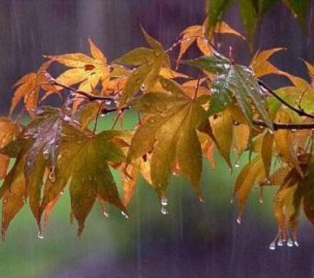 هواشناسی: سامانه بارشی جدید در راه اصفهان است