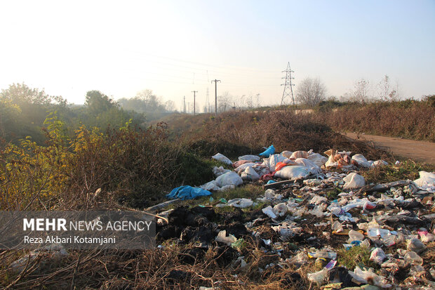 محمدی:مهم‌ترین عامل آلودگی خاک در ایلام پسماندهای شهری هستند