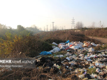 محمدی:مهم‌ترین عامل آلودگی خاک در ایلام پسماندهای شهری هستند