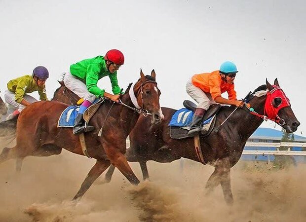 اهواز میزبان کورس پاییزه و زمستانه سوارکاری کشور