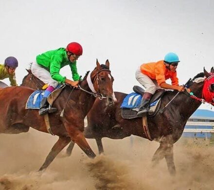 اهواز میزبان کورس پاییزه و زمستانه سوارکاری کشور