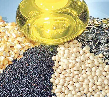 نامه انجمن روغنکشی کشور به وزیر جهاد کشاورزی