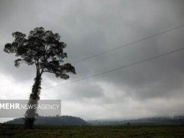 هوای مازندران ابری؛ کندوان بسته است