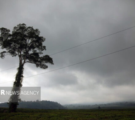 هوای مازندران ابری؛ کندوان بسته است