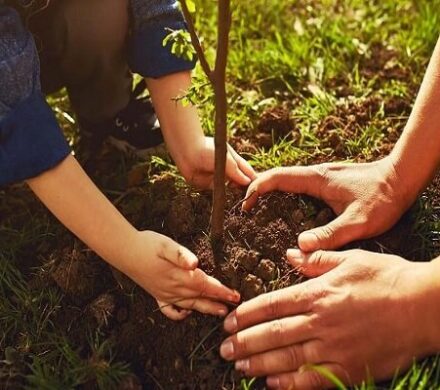اعلام فراخوان پویش مردمی نهالکاری روز دانشجو در سنندج
