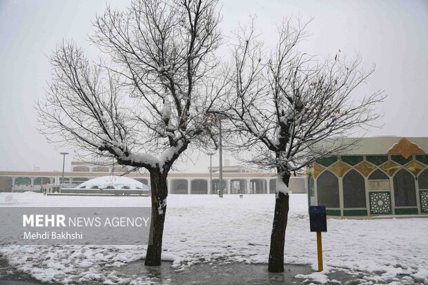 مازندران برفی و بارانی می‌شود؛ آماده باش دستگاه‌های امدادی