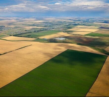 ۲۰ هزار مترمربع از اراضی کشاورزی «اشترینان» به چرخه تولید بازگشت