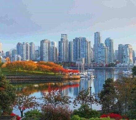 میزبانی آمریکا و کانادا از تیم ملی ایران/ خبری از سفر به مکزیک نیست