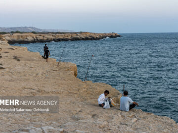 وضعیت جوی و دریایی استان بوشهر آرام است