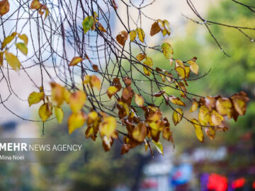 صابری: هوای آذربایجان غربی برفی می شود؛ تداوم بارشها تا پایان هفته