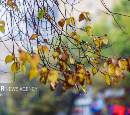 صابری: هوای آذربایجان غربی برفی می شود؛ تداوم بارشها تا پایان هفته