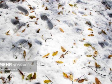 تصاویری از برف پاییزی در شهرستان درگز