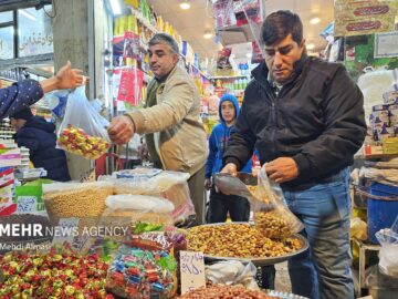 مجرب: طرح ویژه نظارتی شب یلدا در فارس اجرا می‌شود
