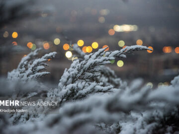 هشدار هواشناسی به ۲۵ استان؛ خسارت به محصولات کشاورزی با تشدید بارشها