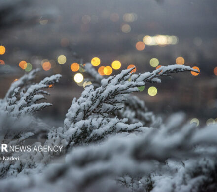 هشدار هواشناسی به ۲۵ استان؛ خسارت به محصولات کشاورزی با تشدید بارشها