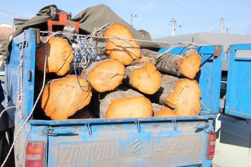 نعمتی: بیش از ۵ تن چوب قاچاق در تبریز کشف شد