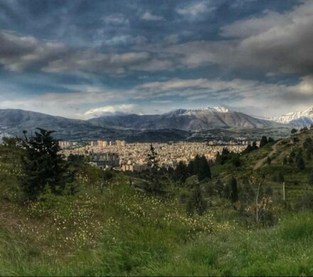 برنامهریزی عملیاتی برای توسعه گردشگری بزرگترین بوستانهای جنگلی