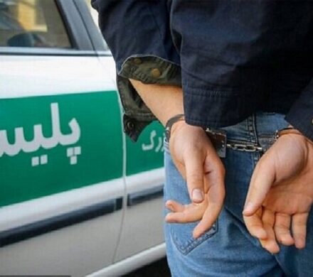 سرقت از قطعات ۲۳ و ۲۴ مسکن مهر سمنان؛ ۲ متهم دستگیر شدند