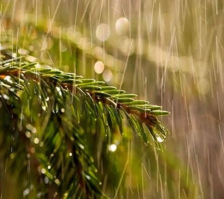 هشدار نارنجی تقویت سامانه بارشی در خوزستان صادر شد