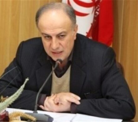 خلیقی: سهمیه پیله‌وری کردستان به سه میلیون دلار رسید