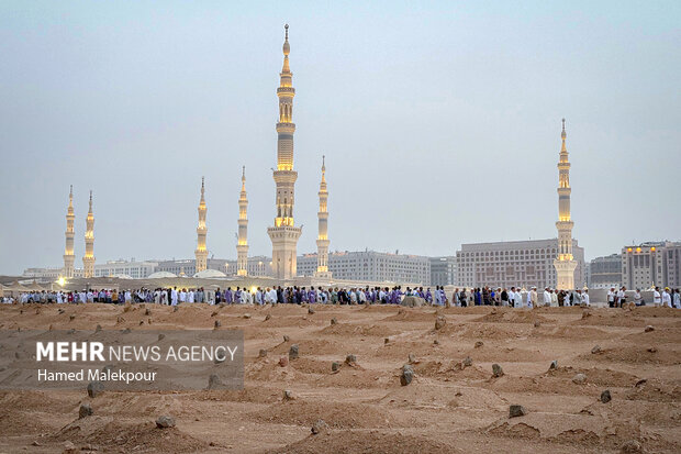 زیارت بی پیرایه و عاشقانه دانشجویان عمره گذار در بقیع