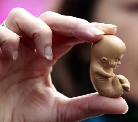 عوارض سقطهای غیرقانونی بسیار گسترده و خطرناک است