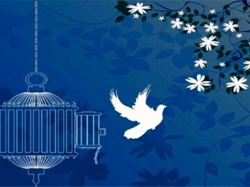 یک محکوم به قصاص در نکا بعد از تحمل ۱۲ سال حبس رهایی یافت