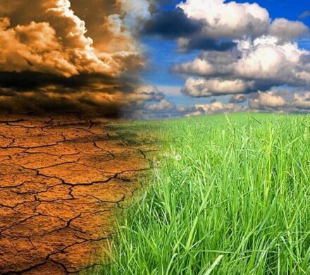 دستاوردهای سیامین کنفرانس تغییر اقلیم سازمان ملل تشریح شد