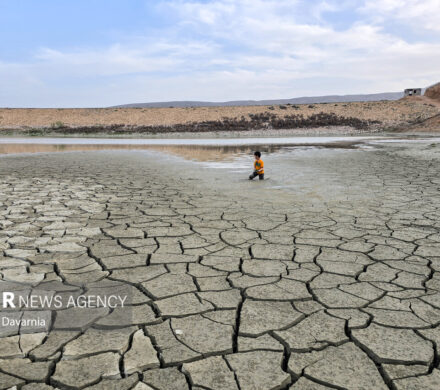 کارشناس محیط‌زیست: ایران در مرحله خشکیدگی قرار گرفته است