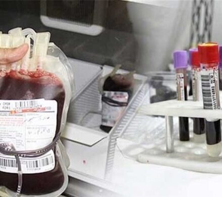 اکبرزاده: ذخایر خون استان فارس در خطر کاهش است