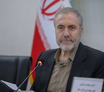 ذوالفقاری: ایران برای تأمین نیاز دارویی خود نیازی به کشت خشخاش ندارد