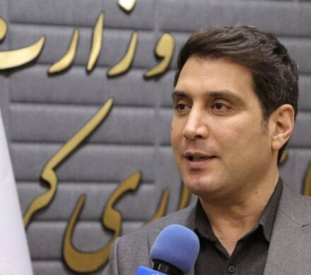 تشریح وضعیت فعالیت مادران شاغل در کردستان